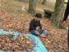 なぜか、木の葉がいっぱい